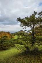 Castle and autumnal forest, Hohenzollern Castle, Hechingen, Swabian Jura, Baden-Württemberg,