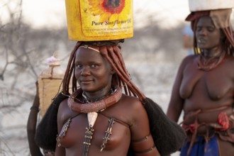 Himba woman fetching water, heavy water bucket on their heads, traditional Himba, Kaokoveld,