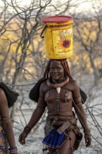 Himba woman fetching water, heavy buckets on their heads, traditional Himba, Kaokoveld, Kunene,