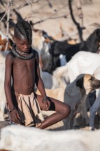 Himba children in the goat herd, traditional Himba village, Kaokoveld, Kunene, Namibia