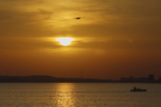A boat sails across the lake, Steinhude, Steinhuder Meer during a glowing sunset