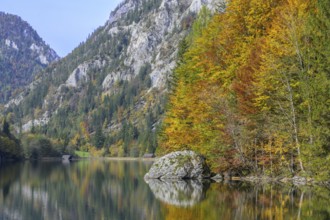 Leopoldsteinersee in autumn, Eisenerz, Styria, Austria