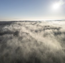 Aerial view of fog over forest in backlight, St.Veit, Berndorf, Lower Austria, Austria