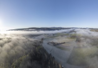Aerial view of fog over fields and forest, St.Veit, Berndorf, Lower Austria, Austria