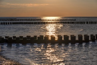 Evening sky on the Baltic Sea with groves, Ahrenshoop, Darß, Mecklenburg-Western Pomerania, Germany