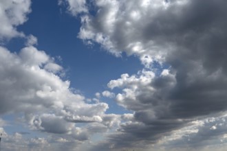 Rain clouds (Nimbostratus) over the Darß, Mecklenburg-Vorpommern, Germany
