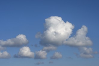 Cluster clouds (Cululus) in the blue sky, Darß, Mecklenburg-Vorpommern, Germany