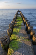 Grooves in the Baltic Sea, beach in Ahrenshoop, Darß, Mecklenburg-Western Pomerania, Germany