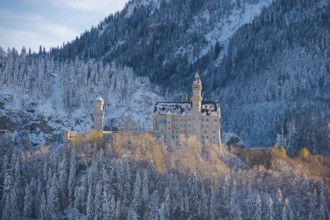 Historic Neuschwanstein Castle in winter, nestled in an idyllic, snow-covered mountain landscape,