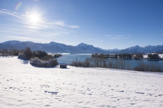 Winter landscape with a snowy field and a sunny sky over a quiet lake, Forggensee near Roßhaupten,