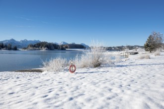 Snowy lakeside landscape with views of mountains and clear skies, Forggensee near Roßhaupten,