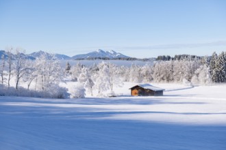 Clear winter panorama with a hut under a sunny sky and mountains in the background, near Buching,