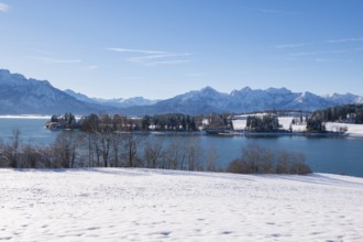 Snowy shore with a view of a quiet lake and mountains under a clear sky, Forggensee near