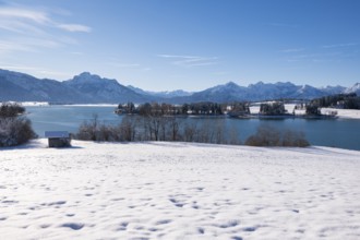 Panorama of a snowy field with lake and mountains under a clear blue sky, Forggensee near