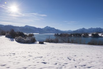 Snowy field with a view of a quiet lake and mountains under a bright sun, Forggensee near