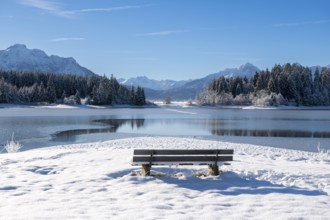 Snow-covered bench on a quiet lake with mountain panorama, Forggensee near Roßhaupten, Ostallgäu,