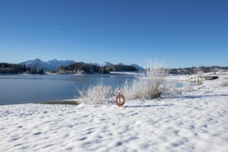 Snowy lake with a clear view of distant mountains, Forggensee near Roßhaupten, Ostallgäu, Allgäu,