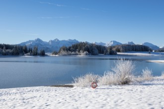 Snowy lakeside landscape with mountains in the background and clear sky, Forggensee near