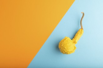 Decorative orange Pumpkin on blue and orange pastel paper background, top view, flat lay, copy