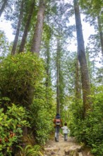 Mother and child enjoying a peaceful hike along a scenic rainforest trail, surrounded by towering