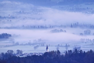 Meadows and trees in the morning fog and the church in the foreground, Reusstal, Merenschwand,