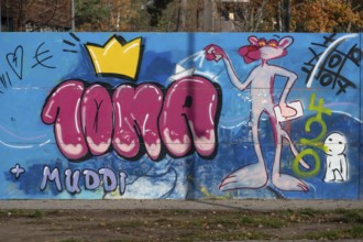 Graffiti with Paulchen Panther in the schoolyard of a secondary school, Röthebach, Middle