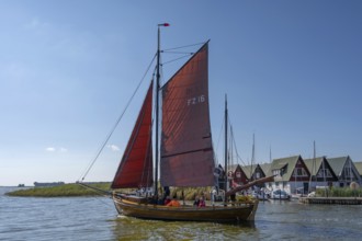 Zeesboot, former historic fishing boat, leaves the port of Ahrenshoop, blue sky, Darß,