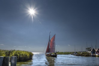 Zeesboot, former historic fishing boat, leaves the port of Ahrenshoop, Sonnenstern, Darß,