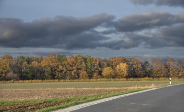 Autumn road next to undeveloped fields, surrounded by colorful trees under grey sky, country road