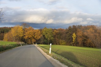Autumn country road under cloudy sky, lined with colorful trees and green meadow, country road in