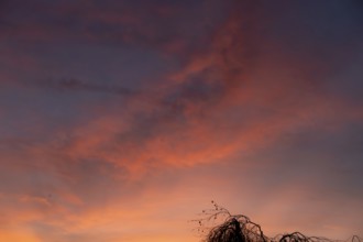 Evening Sky, Eckental, Middle Franconia, Bavaria, Germany