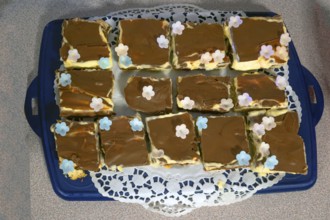 Tiramisu decorated on a tray, Bavaria, Germany