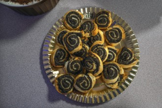 Mohnschnecken, Bayern, Germany