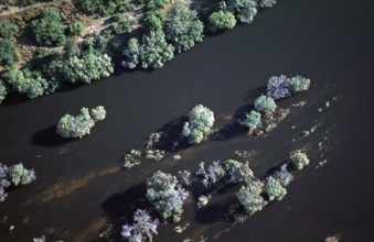 Aerial view, trees, Zambezi, Zimbabwe, Africa, June 2000, vintage, retro, old, historic