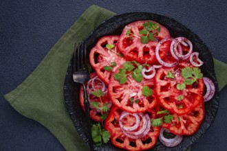 Freshly sliced tomatoes and red onions, garnished with herbs, on a black plate, summer salad, no