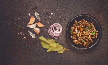 Pickled honey mushrooms, in a bowl, homemade, top view, no people