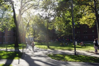 Passers-by, students in Harvard Yard, sunbeams, campus, Harvard University, Cambridge, Greater