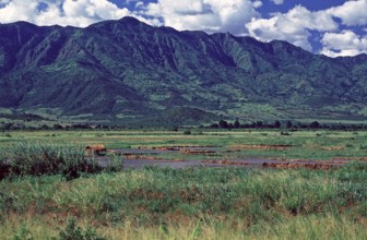 Mountains, fields, landscape, Tanzania, Africa, June 2000, vintage, retro, old, historic
