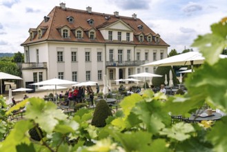 The Saxon State Winery Schloss Wackerbarth or Wackerbarth's Ruh' with Baroque Castle in