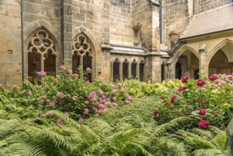 Inner courtyard of the cloister in Meissen Cathedral, Meissen, Saxony, Germany