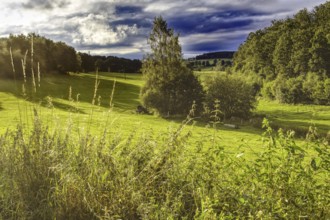 Green meadow with wooded background in sunlight under dramatic sky, Siegen