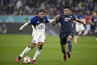 Tackle, action Ozan Kabak TSG 1899 Hoffenheim (05) against Ransford Königsdörffer Hamburger SV HSV