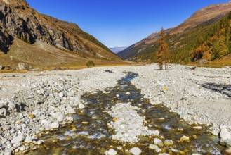 The Navasence stream, near Zinal, Val d'Anniviers, Valais Alps, Canton of Valais, Switzerland