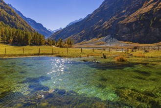 Small pond and alpine meadow in autumn colors, near Zinal, Val d'Anniviers, Valais Alps, Canton of