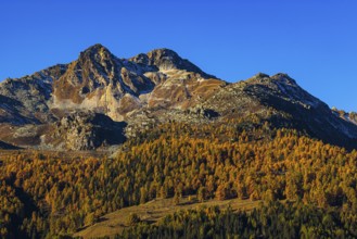 Mountain peaks in autumn colors, Val d'Anniviers, Valais Alps, Canton of Valais, Switzerland