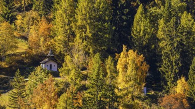 Small chapel in a forest with autumn colors, Val d'Anniviers, Valais Alps, Canton of Valais,