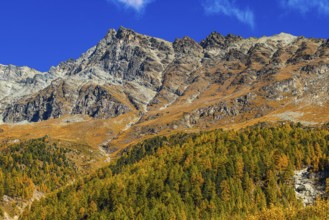The peaks of the Les Diablons mountains in autumn colors, Val d'Anniviers, Valais Alps, Canton of