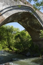 Old stone bridge over a flowing river surrounded by dense nature and trees, part of a three-arched