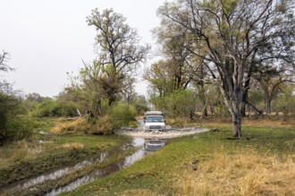 Safari car, off-road car driving through a river, Xakanaxa, Moremi Game Reserve, Botswana