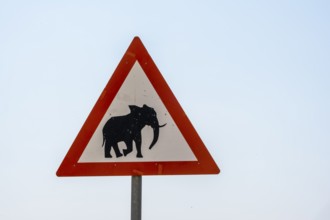 Traffic sign, attention elephants, Botswana